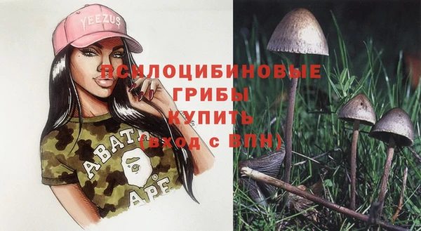соль ск Анива