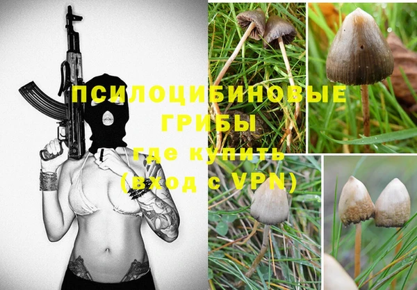 мяу мяу кристалл Строитель