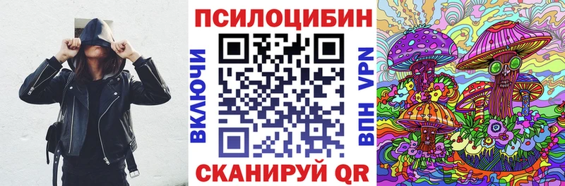 Псилоцибиновые грибы Psilocybine cubensis Магнитогорск