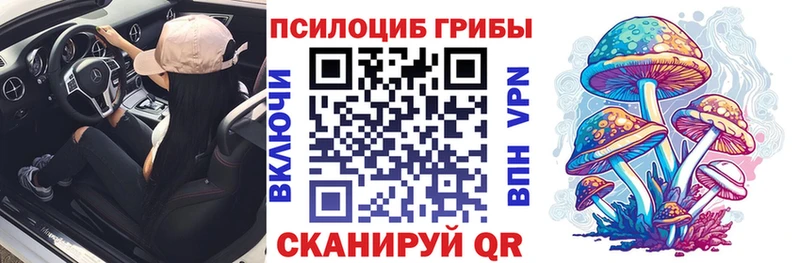 купить наркотик Магнитогорск Галлюциногенные грибы Magic Shrooms