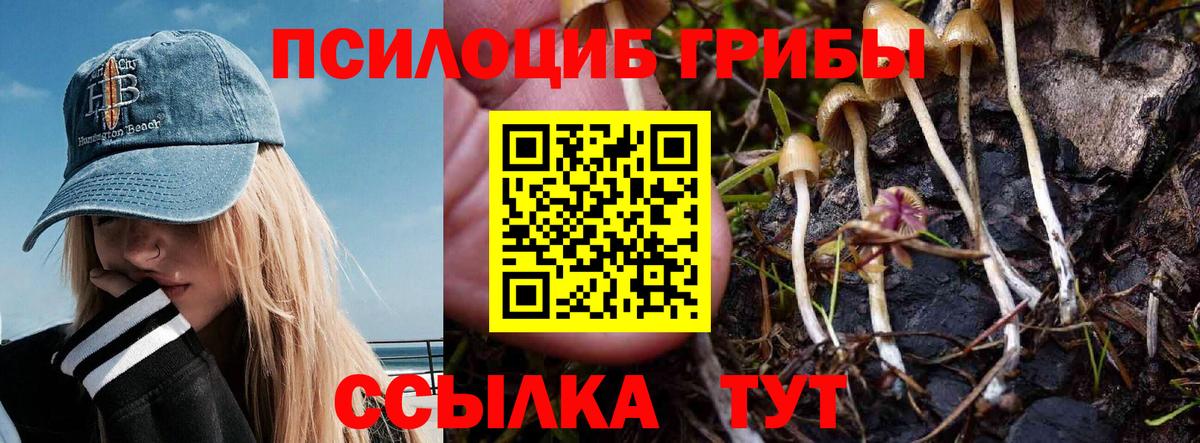 Псилоцибиновые грибы Cubensis  Галлюциногенные грибы Psilocybine cubensis  сколько стоит  Вход с VPN  Магнитогорск 